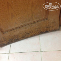 фото из отзыва ID 1260946