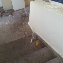 фото из отзыва ID 1261071