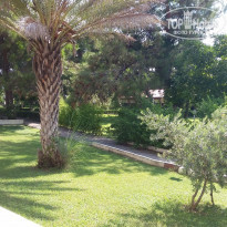 фото из отзыва ID 1261083