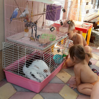 фото из отзыва ID 1261376