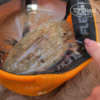 фото из отзыва ID 1261390