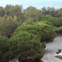 фото из отзыва ID 1261407