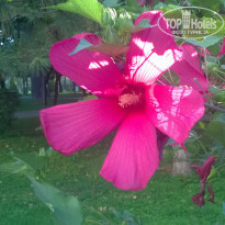 фото из отзыва ID 1261443