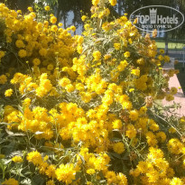 фото из отзыва ID 1261443