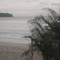 фото из отзыва ID 1261545