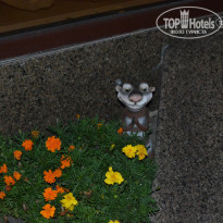 фото из отзыва ID 1261762