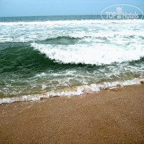 фото из отзыва ID 1261982