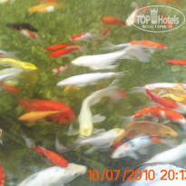 фото из отзыва ID 1261982