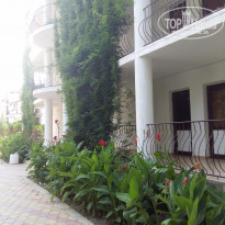 фото из отзыва ID 1262092