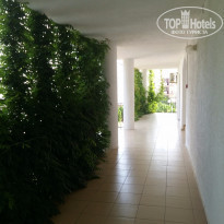 фото из отзыва ID 1262092