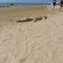 фото из отзыва ID 1262092