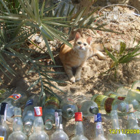 фото из отзыва ID 1262068