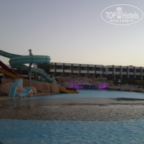 фото из отзыва ID 1262266