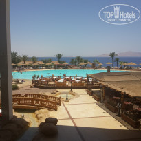 фото из отзыва ID 1262266