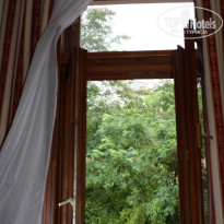 фото из отзыва ID 1262292