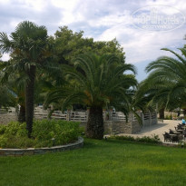 фото из отзыва ID 1262378