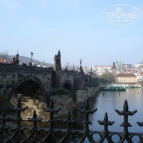 фото из отзыва ID 1262404