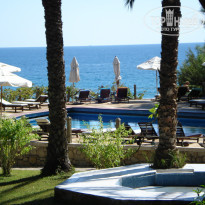 фото из отзыва ID 1262657