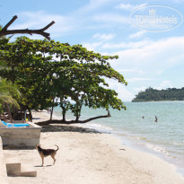 фото из отзыва ID 1262712