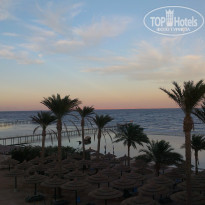 фото из отзыва ID 1263069