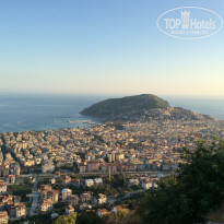 фото из отзыва ID 1263142