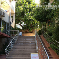 фото из отзыва ID 1263142