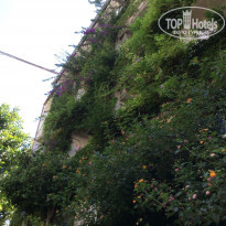 фото из отзыва ID 1263142