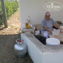 фото из отзыва ID 1263363