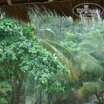 фото из отзыва ID 1263728