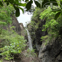 фото из отзыва ID 1263728