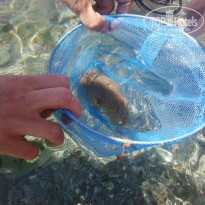 фото из отзыва ID 1263581