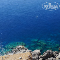 фото из отзыва ID 1263581