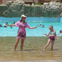 фото из отзыва ID 1263859