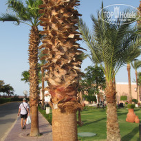 фото из отзыва ID 1263859