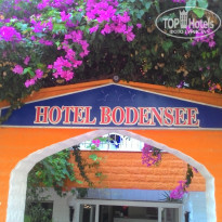 фото из отзыва ID 1263946