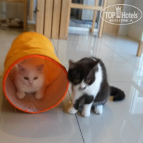 фото из отзыва ID 1263819