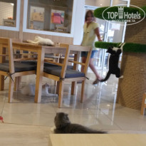 фото из отзыва ID 1263819