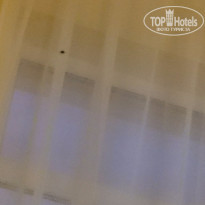 фото из отзыва ID 1264170