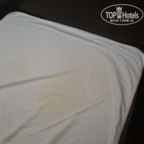 фото из отзыва ID 1264170