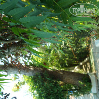 фото из отзыва ID 1264248