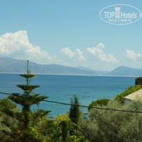 фото из отзыва ID 1264248