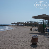 фото из отзыва ID 1264240