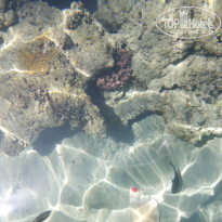 фото из отзыва ID 1264240