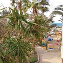 фото из отзыва ID 1264351