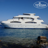 фото из отзыва ID 1264351