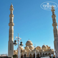 фото из отзыва ID 1264351