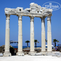 фото из отзыва ID 1264604