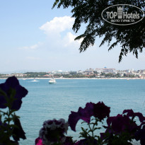 фото из отзыва ID 1264604