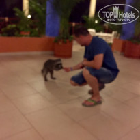 фото из отзыва ID 1264634