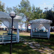 фото из отзыва ID 1264443